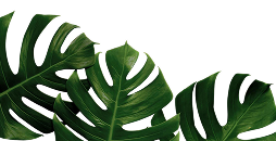 Decorative Leaf